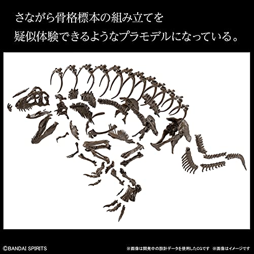 Bandai Hobby - Imaginary Skeleton - 1/32 Imaginary Skeleton Tyrannosaurus, Small