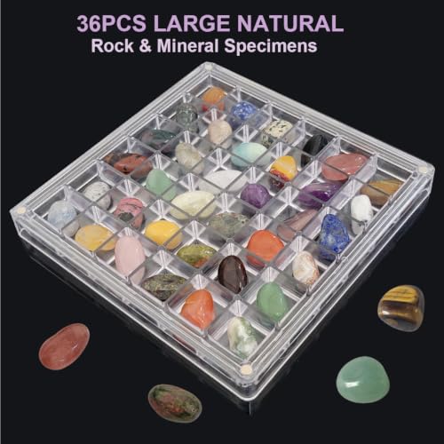 36 Types Tumble Polished Crystals with Large 36 Grids Acrylic Display Box (Tumbled)