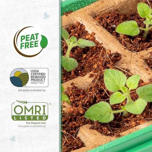 Back to The Roots 10-Cell Greenhouse Germination Kit | Includes Biodegradable Pots & Vented Greenhouse Lid | Made from 75% Recycled Plastic - size: 3 inches, style: 10-Cell Germination Kit