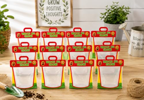 Fun Express Clear Vinyl Pocket Greenhouses - 12 Pack Kids STEM Gardens