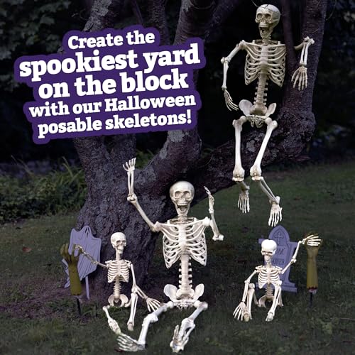 Life Size Human Skeleton Decoration Value 4 Pack- Adult 5' 4" & Child 3' - style: 4 Pack