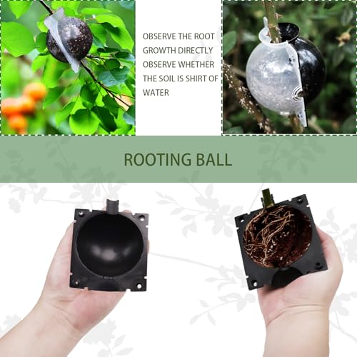Plant Root Growing Box, 30 Pack, 3 Sizes
