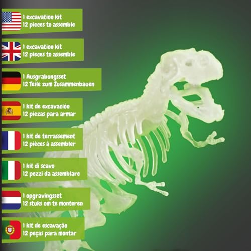 Science4you T-Rex Fossil Digging Kit for Kids +6 Years - Dinosaur Fossil Dig Kit + Glow-in-The-Dark T-Rex Fossils for Kids, Excavation Kit, Stem Toys, Games, Gifts for 6+ Year Old Boys and Girls
