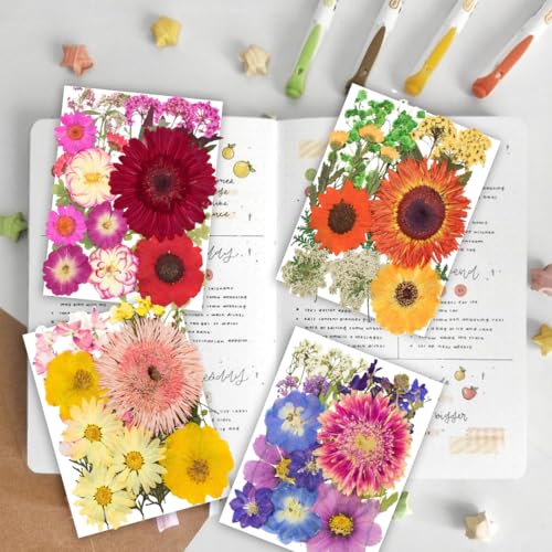 122PCS Large Nature Dried Pressed Flowers for Resin Mold, Real Dry Pressing Floral with Butterfly Transparent Stickers Set for DIY Jewelry Making Nail Card Scrapbook Art Craft Love Parade - color: Love Parade