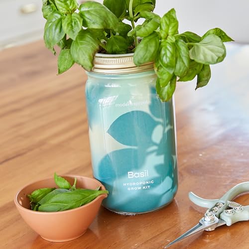 Modern Sprout Mason Garden Jar-Self-Watering Hydroponics Kit-Basil+Lavender - color: Basil + Lavender, size: Garden Jars