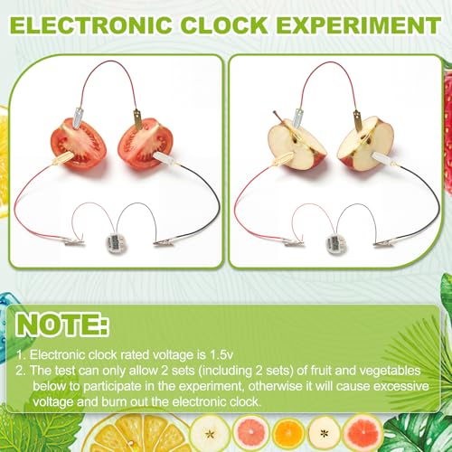 Soulchen 24 Sets Fruit Battery Scientific Experiment Kit with Electronic Clock for Home Teaching Accessories, Orange Lemon Potato Battery Physics Teaching Experiment Educational