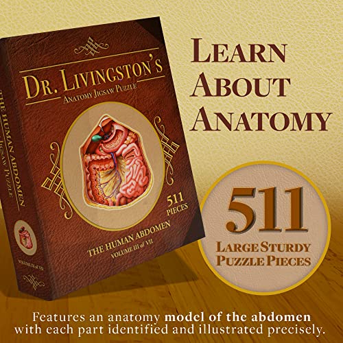 Genius Games Human Abdomen Anatomy Jigsaw Puzzle | Dr Livingston's Unique Shaped Science Puzzles, Accurate Medical Illustrations of the Body, Organs, Stomach, Liver and Intestines - style: The Human Abdomen