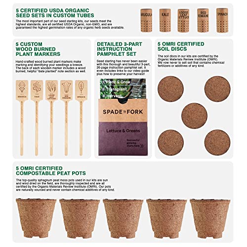 Organic Indoor Lettuce & Greens Garden Starter Kit - Certified USDA Organic Non GMO - Includes Spinach, Kale, Red Romaine, Loose Leaf Lettuce Seeds for Planting, Potting Soil, Peat Pots - style: Lettuce & Greens Kit