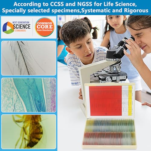 120 Microscope Slides with Specimens Set, Lab-Grade Prepared Microscope Slides for Kids Adults, Animal/Plant/Microbe/Tissue/Cells, STEM Biology Kit for Homeschool, Classroom Labs & Science Education - size: Ages 11+