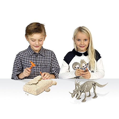 cl1669 K – Dino Excavation Kit, Styracosaurus Skeleton