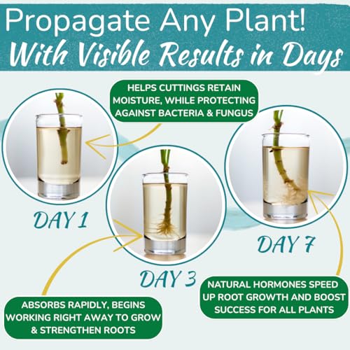 Houseplant Prop Drops, Cutting Rooting Hormone & Propagation Promoter, 8 oz - size: 8 ounces