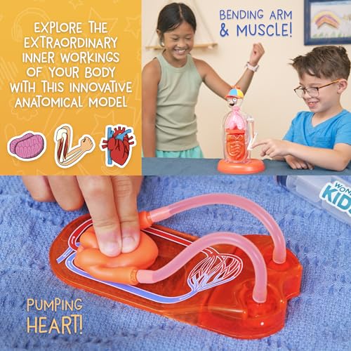 Wow in The World The Amazing Human Body Kit by Thames & Kosmos, Interactive Mechanical Anatomy Model w/Pumping Heart, Lungs, Digestive Tract, Glow-in-The-Dark Bones, Brain & More, Science for Ages 4+