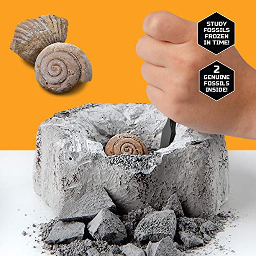 Discovery #MINDBLOWN Mini Fossil Dig Set, 2 Pack Excavation Kit, Interactive Archaeology Paleontology Experiment, Learn Science, Fun and Educational STEM Toy for Kids Ages 6 and Up