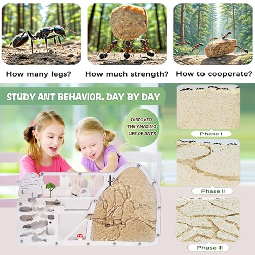 Ant Farm Castle - Large Viewing Area - Care for Live Ants - Ant Colony Observation Kits with Sand Habitat - Educational Science Gifts for Boys, Girls - Ant Farms for Kids, Adults, Student (Yellow)