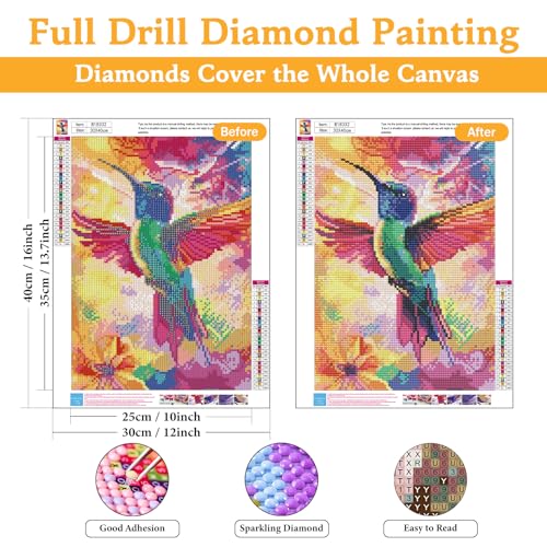 Diamond Art Kits for Adults & Beginners, Hummingbird Diamond Painting Kit - color: HMDPUS-26101