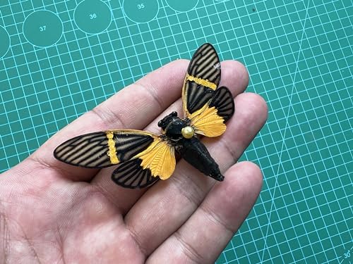 4 Real Cicada Specimens Mounted Insect Taxidermy Entomology Art Set VE80X4 - color: 4 Real Cicada #80
