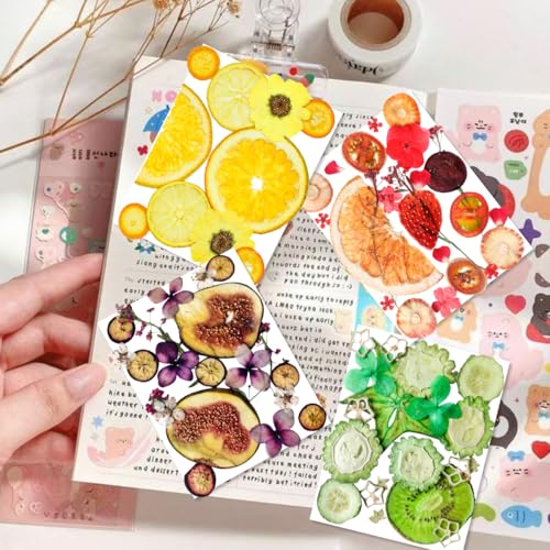 70PCS+ Nature Dried Pressed Fruits Flowers for Resin Mold, Real Dry Pressing Floral Set for DIY Jewelry Making Nail Card Scrapbook Art Craft Fruits Style - color: Bright Fruit