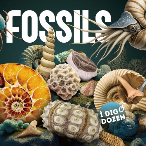 Gamerside Fossil Digging Kit, 12 Real Fossils & Dino Bones & Mess-Free Mat - color: Fossil Dig Kit