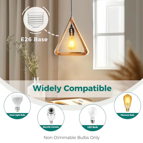 DiCUNO Pendant Light Cord, for Hanging Paper Lantern, 13 Ft, Black, 1-Pack - style: 13ft - Black