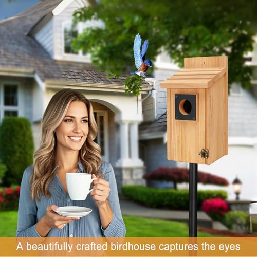 Wooden Bird Houses for Outside with Paint Set, Crafts & DIY Birdhouse Kits for Adults & Kids to Build, Bird House Outdoor for Bluebird Finch Swallow Wren Chickadee - style: Small Size