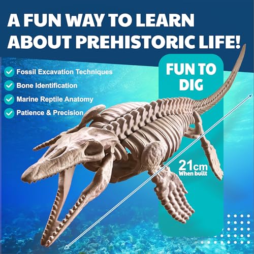 4M Dig a Mosasaurus Skeleton Kit for Kids Ages 8-12 – 11 Realistic Bones, STEM Fossil Excavation Set with Hammer, Chisel & Brush, Marine Reptile Digging Kit, Educational Paleontology Gift