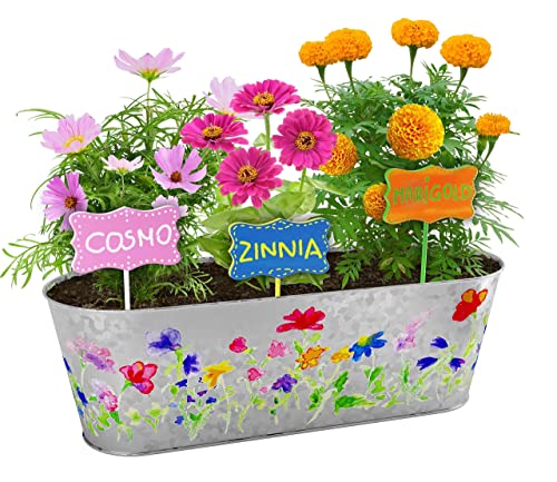 Paint & Plant Flower Growing Kit for Kids - Fun Gardening Kits - Gift Ideas