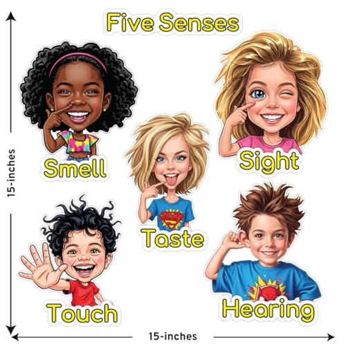 Five Senses Educational Wall Decal Set, 15x15 inches, Classroom Learning Stickers