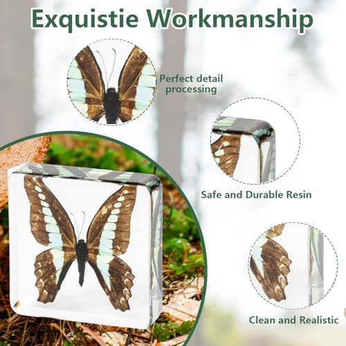 7 Pcs Real Butterflies Resin Taxidermy, Butterfly Specimens Preserved in Clear Resin for Education Entomology Supplies,Insects Taxidermy Bugs Display Oddities Gift Office Décor Paperweight (Square) - size: 7 Butterflies