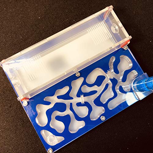 ANT 150mmx110mm Test Tube Moisture Big Space Nest Farm Acrylic, Insect Villa House Ecological Workshop (Blue) - color: Blue