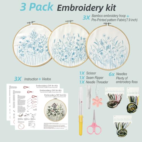 Embroidery Kit for Beginners Learn 7 Common Stitches Step-by-Step Video - color: 7 Common Stitches