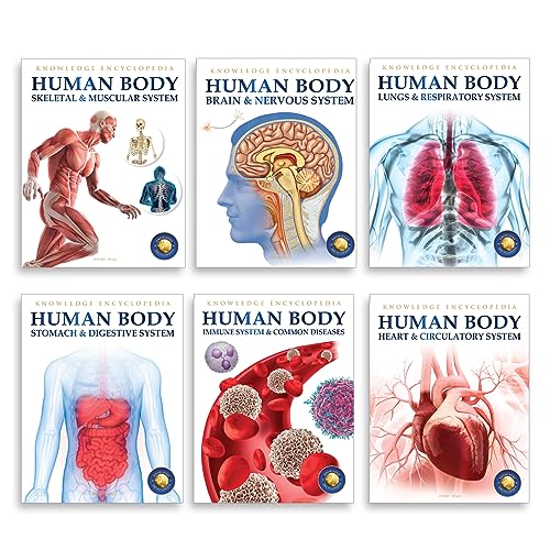 Human Body Box Set: Knowledge Encyclopedia For Children