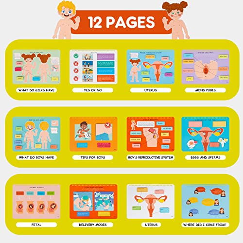 Freebear Montessori Busy Book for Kids, Human Body Anatomy Book for Toddlers, Preshool Kindergarten Learning Activities, Autism Sensory Toys, Gifts for Girls and Boys 4-7 Years- Human Body Procreation - style: Human Body Procreation
