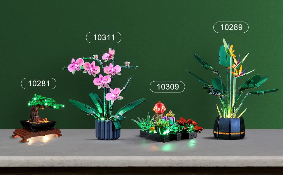 Lightailing Light for Lego-10309 Succulents - Led Lighting Kit Compatible with Lego Building Blocks Model - NOT Included The Model Set - style: (Only Light) 10309 Succulents