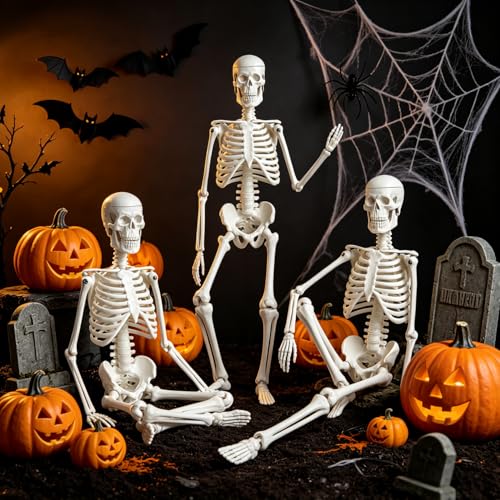 WEEK NINE 17" Mini Human Skeleton Model for Anatomy