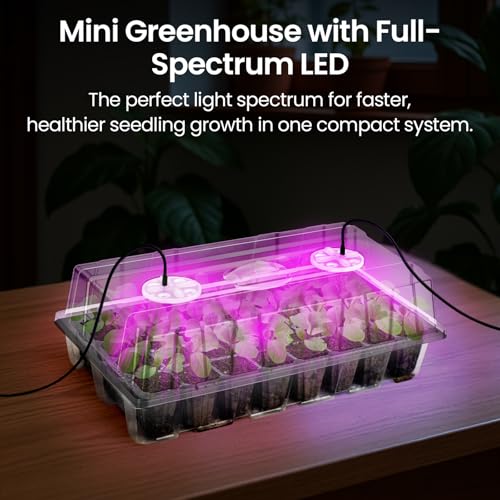 Bonviee Seed Starter Trays with Grow Lights, 80 Cells, 2 Pack - color: Clear, size: 2 Packs