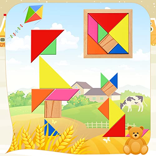 Jerify 5 Pack Wooden Tangram Puzzle for Kids, Brain Teaser Puzzles