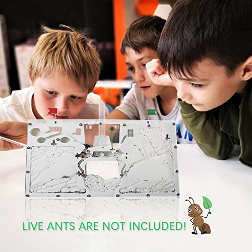 Ant Farm Castle, Ant Farm for Kids, Ant Colony Habitat Science Learning Kit - color: Ant Castle B