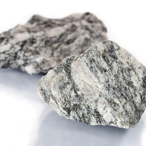 Eisco – Raw Biotite Gneiss Rock Sample Approx 2.75" – Coarse-Grained Foliated Metamorphic Rock – Geologic Teaching Specimen for Earth Science Labs, Mineral Identification, Classroom Collections