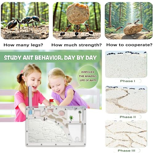 Ant Farm Castle - Large Viewing Area - Care for Live Ants - Ant Colony Observation Kits with Sand Habitat - Educational Science Gifts for Boys, Girls - Ant Farms for Kids, Adults