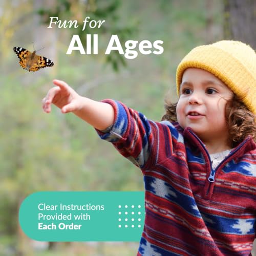 33 Live Painted Lady Caterpillars to Butterflies, Classroom Learning Kit
