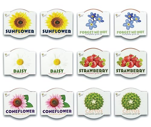 Buzzy Seeds Assorted Flower Grow Kit 12-Pack, Terracotta Pots, 6 Types - color: Classic Assorted