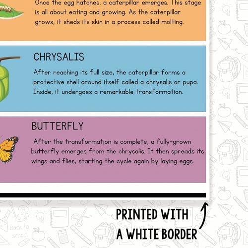 Printlabz Butterfly Life Cycle Classroom Poster - 12 x 18 Inch - Educational Wall Art - Classroom Decor