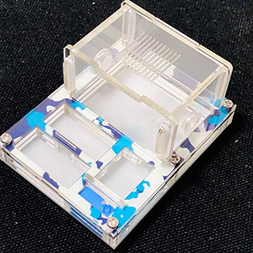 ANT Mini DIY Acrylic Flat Farm Nest with Feeding Area House for Queen Laying Eggs Anthill with Moisturizing Zone (Winter) - color: winter