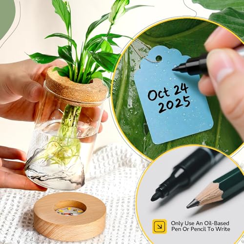 2Pcs Plant Propagation Station, Wooden Base with Lighting