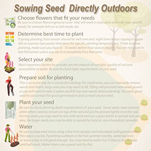 Outsidepride Tropical Milkweed Seeds - 2000 Pcs Perennial, Heat & Humid Tolerant, Pollinator-Friendly Wildflower Seeds, Ideal for Monarch Butterflies, Cut Flowers, Borders, or Meadows (Pack of 3) - size: 2000 Seeds (Pack of 3)