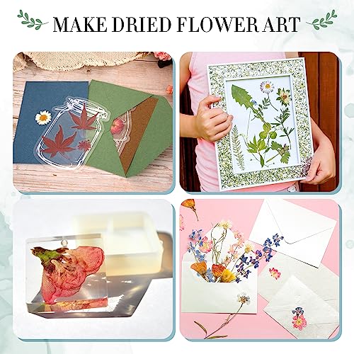 Aboofx Large Wooden Flower Pressing Kit, 10.8"x6.9" 6 Layers - size: 10.8" x 6.9" 6 Layers