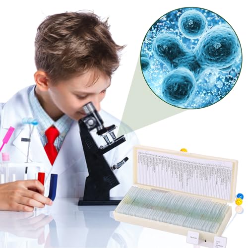 60 Pieces Prepared Microscope Slide Set with Specimens, Plant Animal Cell Science Education Microscope Slides for Bioscience Labs - size: 60pcs