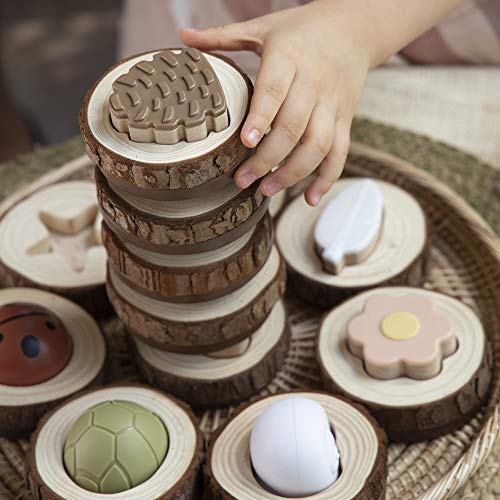 Guidecraft Nature Feel and Find - 24 pc. Set