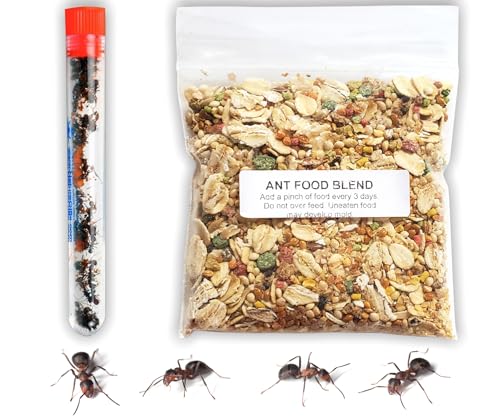 25 Live Ants for Ant Farms (1 Tube) with Ant Food Premium Custom Mix - style: 25 Live Ants+Food