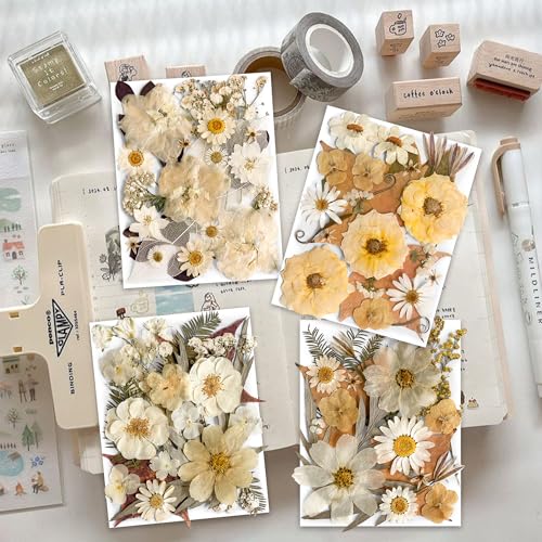 96PCS Vintage White Dried Pressed Flowers for Resin Craft - YouthBro Real Nature Flowers Set with 50 PCS Butterfly Stickers for DIY Scrapbook Art Floral Decors - color: 4packs Vintage